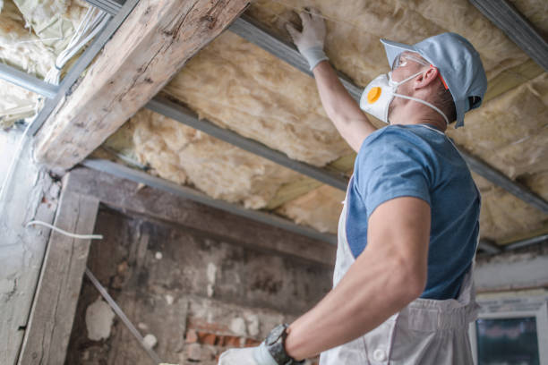 Best Insulation for Specific Applications in Wellston, MO