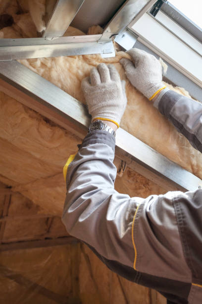 Best Specialty Insulation in Wellston, MO