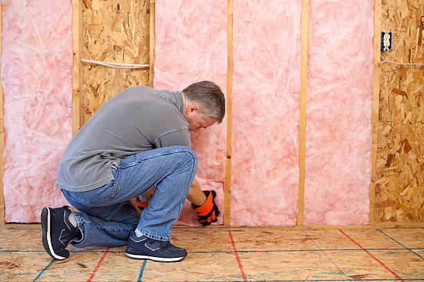 Best Types of Insulation in Wellston, MO