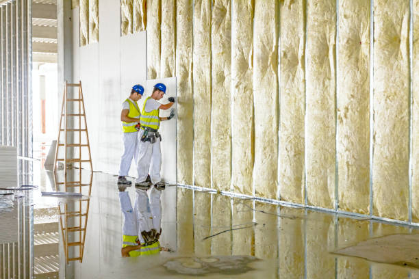 Best Commercial Insulation in Wellston, MO